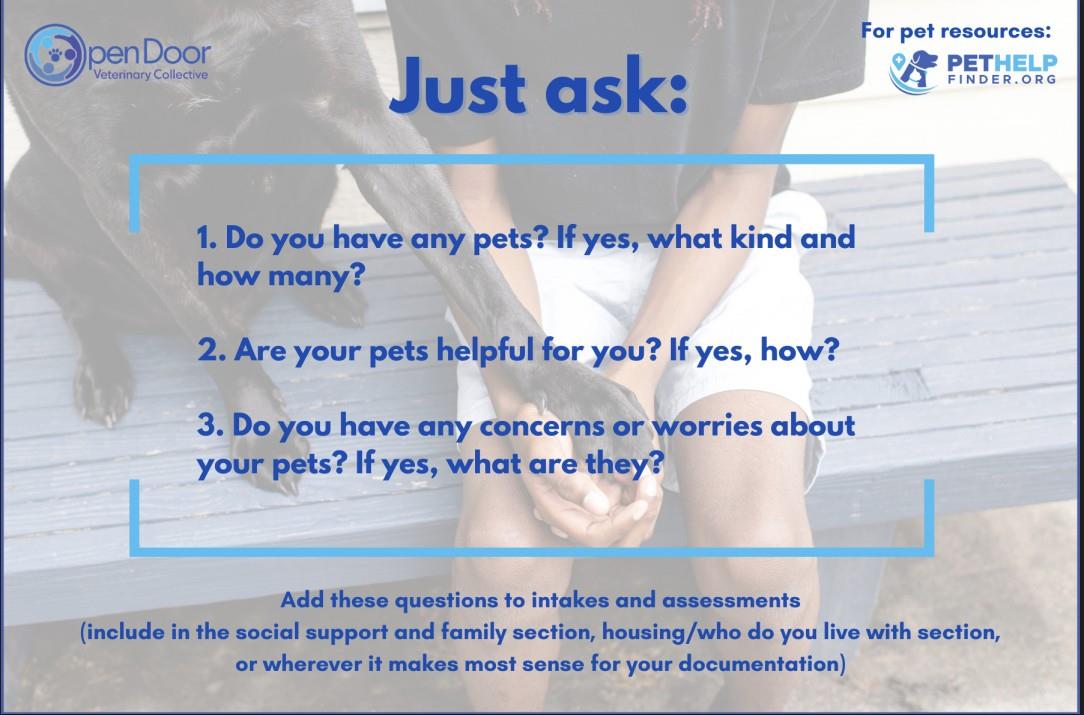 3 questions to ask about pets